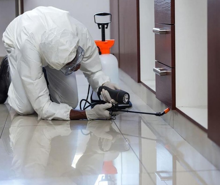 Schwarzschimmel entfernen