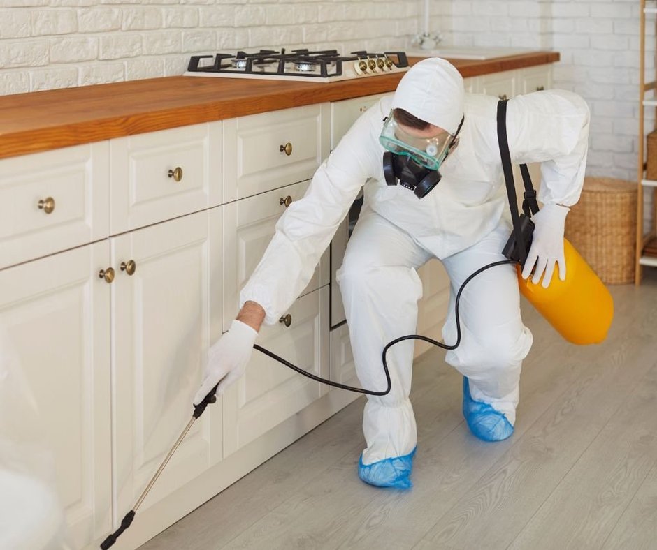 Wandschimmel beseitigen