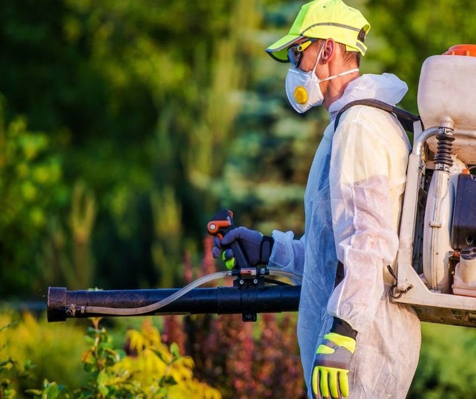 Badezimmerschimmel entfernen